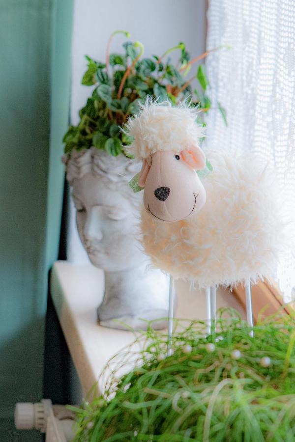 Ferienwohnung Alma Pflach 外观 照片