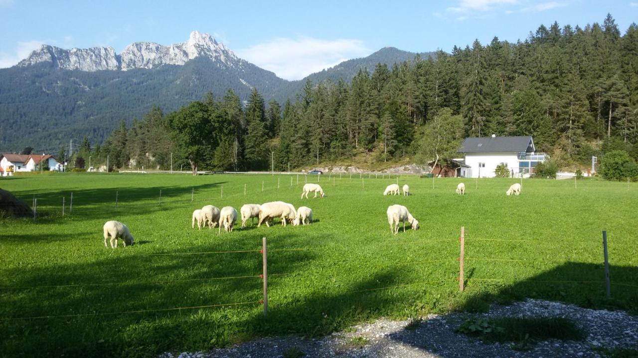 Ferienwohnung Alma Pflach 外观 照片